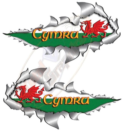 Pair526mm welsh flag - pair526mm, rip