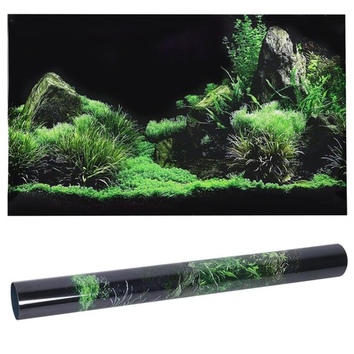 30cm fish tank - 30cm, background