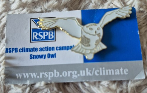 Rspb bird pin - pin, snowy