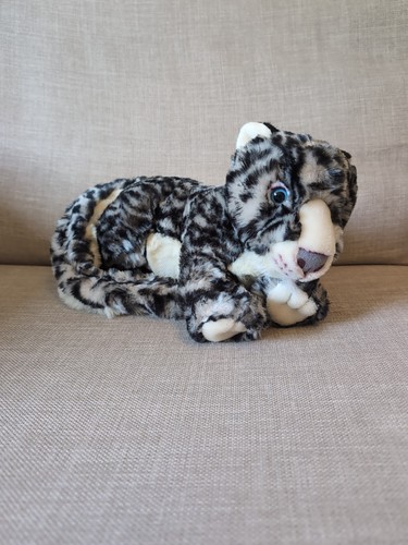 Baby snow leopard with blue - snow,