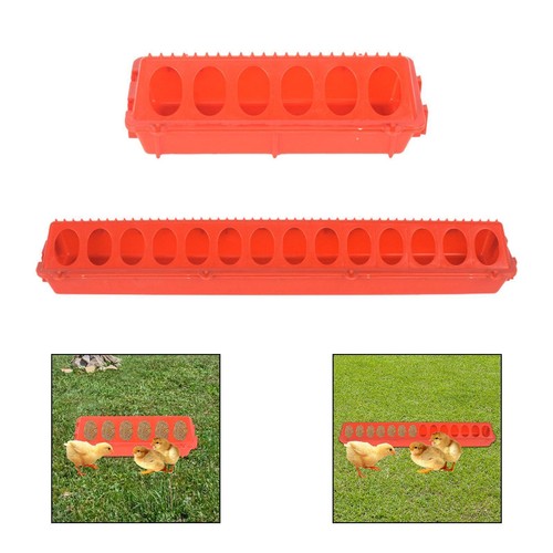Chicken feeder multihole - feeder,