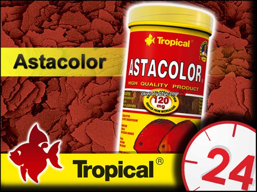 Astacolor fish food for discus - fish,