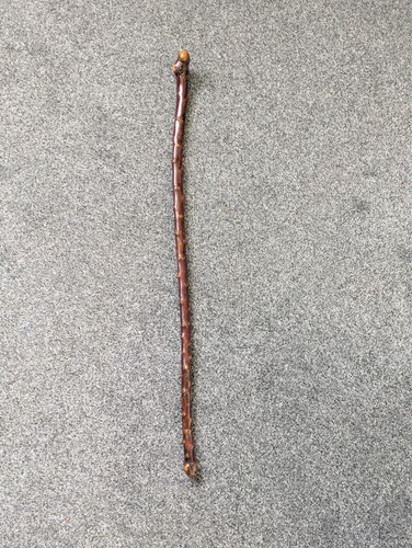 Blackthorn walking stick - blackthorn,