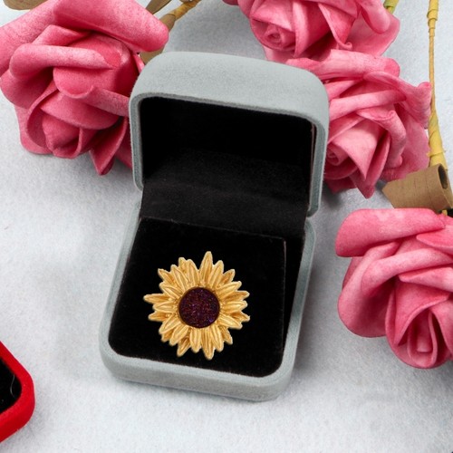 Velvet gift box coins - coins, medals