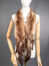 1234 GLAMOROUS GERMAN SABLE