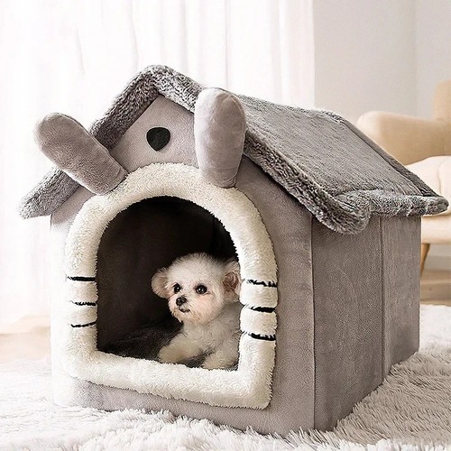 Pet cat kitten dog - pet, bed