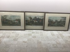 Three Herrings Snr Hunting