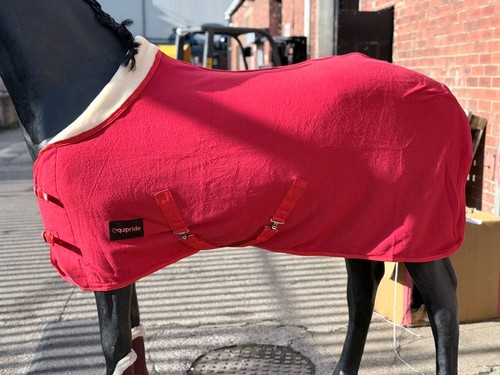Horse fleece economy rug with - rug,