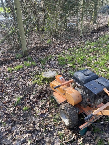 Stump grinder - stump,