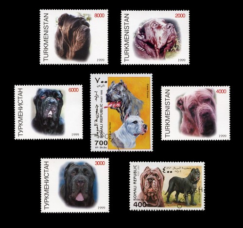 Neapolitan mastiff italian dog - neapolitan,