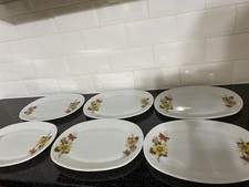 JAJ Pyrex Vintage Autumn Glory