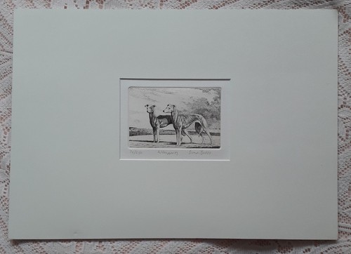 Whippet signed numbered - whippet,