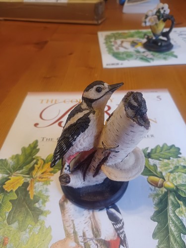 The great spotted woodpecker - the,