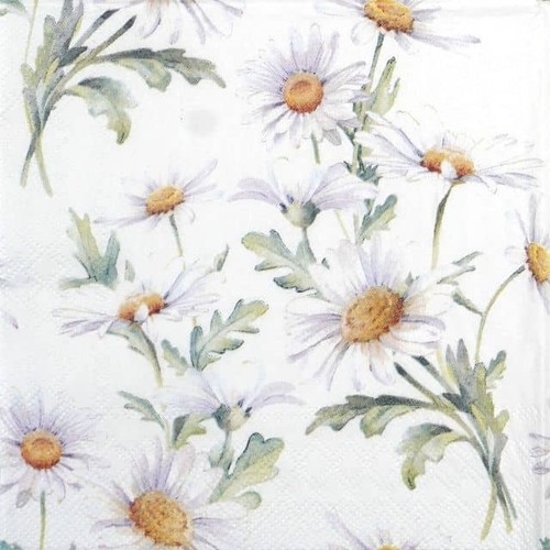 Single paper napkins - 4x,