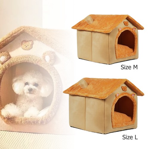 Pet cat kitten dog - cat,