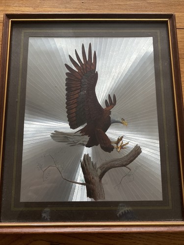 American bald eagle - bald, vintage