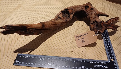 Driftwood for aquariums - driftwood,