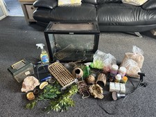 Crested Gecko Tank With