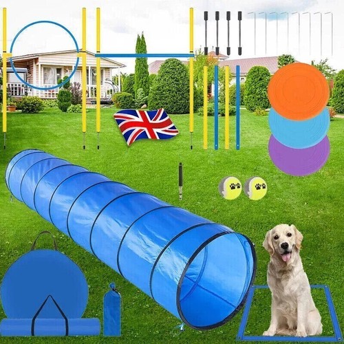 Dog agility equipment tool - agility,
