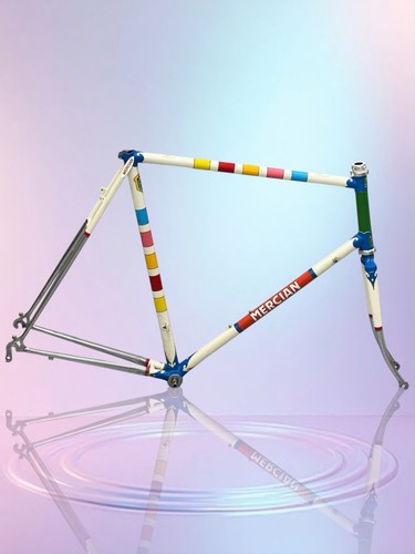 Mercian steel road farmeset - steel,