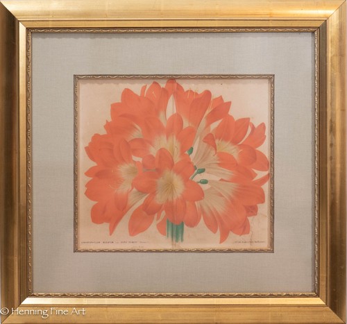 Beautiful antique lithograph - antique,