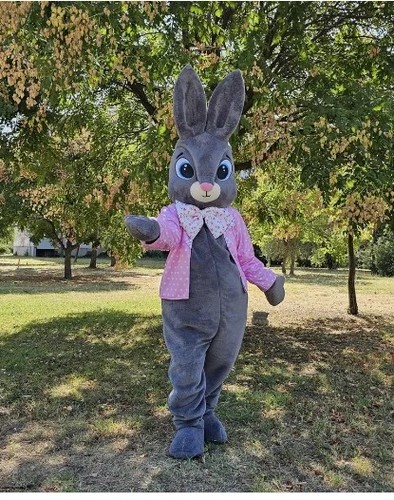 Adult dark grey bunny mascot - dark,