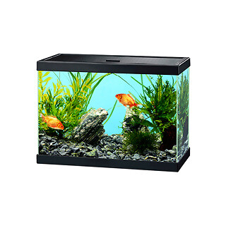 Ciano aqua aquarium black - 15,