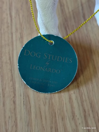 Leonardo dog studies bull - studies,