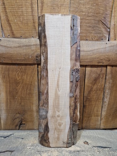 Live edge beech slab - edge,