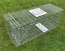 31" Humane folding X-LARGE