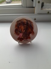 Small Decorative Plate Red