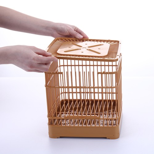 Set bird display cage - display,