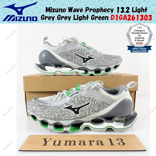 Mizuno wave prophecy 2 - wave, 13.2