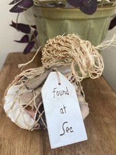 Sea Shells Bundle Natural