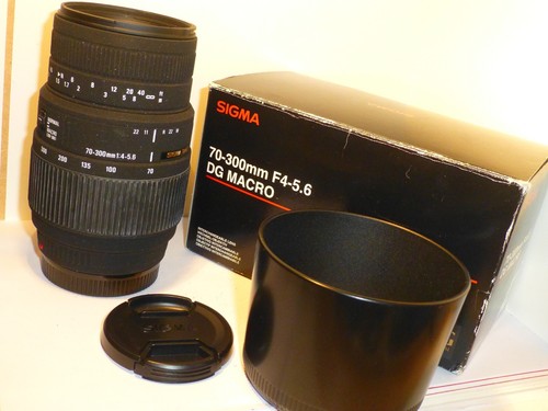 Sigma 300mm 6 - 70-300mm, dg