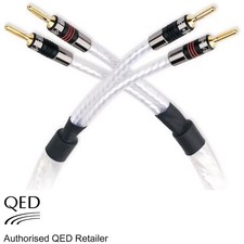 QED Genesis Silver Spiral