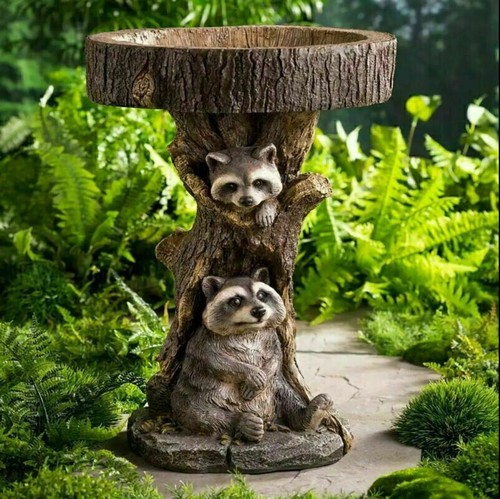 New bird bath - bath, feeder