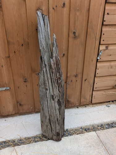 Driftwood stick for - art, craft