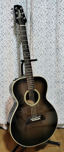 Takamine 105 acoustic - takamine,