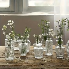 12pcs Glass Bud Mini Vases Small Clear Vintage Vases for Table Wedding Decor