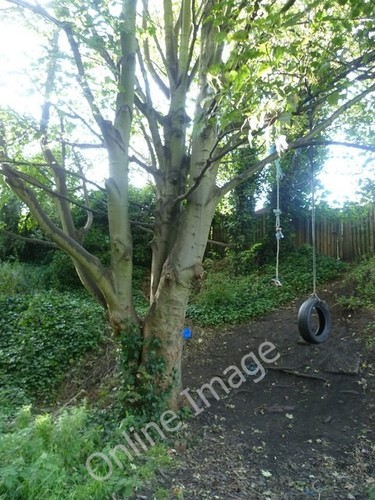 Photo 6x4 rubber - photo, tyre
