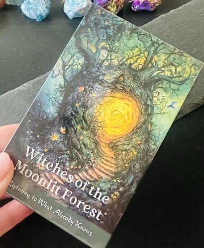 Witches the moonlit forest - the,