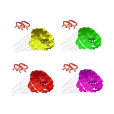 Soft Umbrella Kite Sports Kite