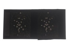 Thorpe Cloud - Bellis Perennis