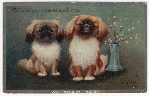 Pekingese vintage dog art - pekingese,