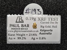 #193 - Natural Gold Nugget