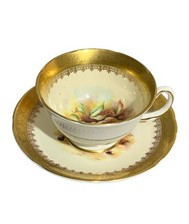 Royal Grafton White and Gold