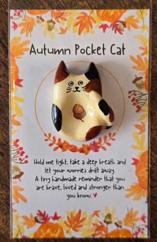Autumn pocket cat worry stone - cat,