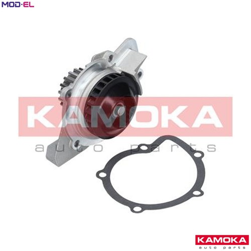 Water pump engine - pump, cooling