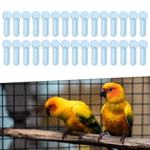 Bird feeding box - feeding,